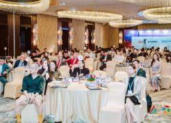 af8a_206865335_eff_preview_02f093fc-5c76-4908-b128-13bd07199ba5