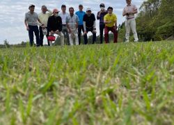 Golf-1